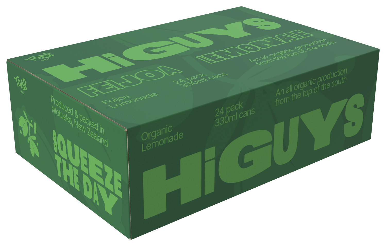 Rendered Feijoa Lemonade 24 pack carton